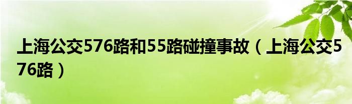 上海公交576路(上海公交576路和55路碰撞事故)