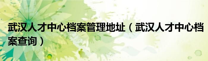武汉人才中心档案查询(武汉人才中心档案管理地址)