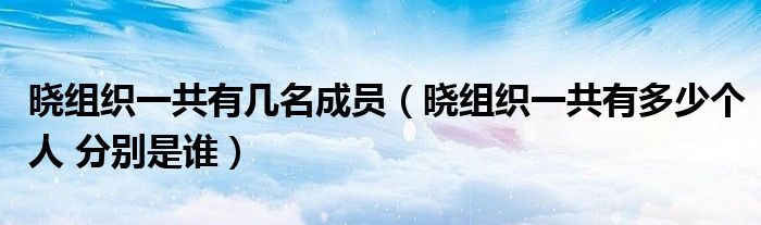 晓组织一共有多少个人 分别是谁(晓组织一共有几名成员)