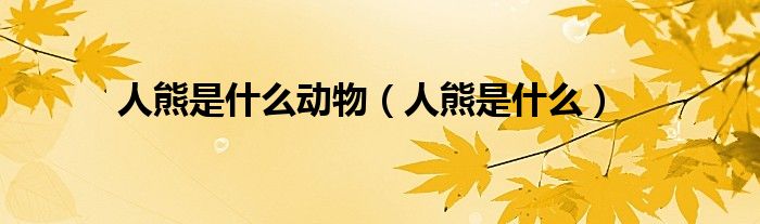 人熊是什么(人熊是什么动物)