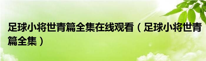 足球小将世青篇全集(足球小将世青篇全集在线观看)