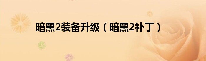 暗黑2补丁(暗黑2装备升级)