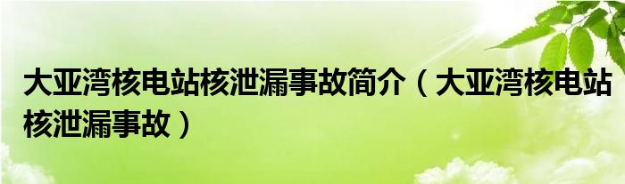 大亚湾核电站核泄漏事故(大亚湾核电站核泄漏事故简介)