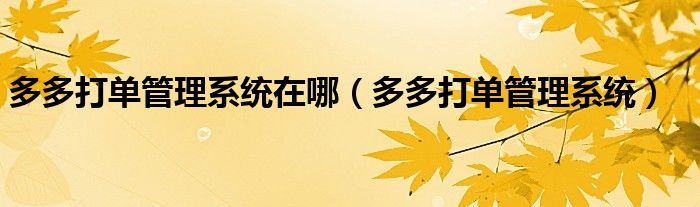 多多打单管理系统(多多打单管理系统在哪)
