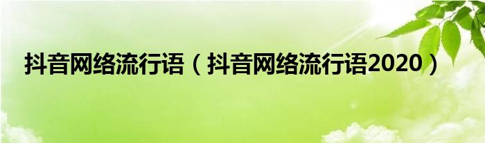 抖音网络流行语2020(抖音网络流行语)