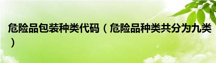 危险品种类共分为九类(危险品包装种类代码)