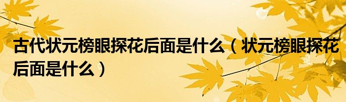 状元榜眼探花后面是什么(古代状元榜眼探花后面是什么)