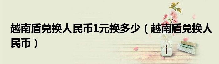 越南盾兑换人民币(越南盾兑换人民币1元换多少)