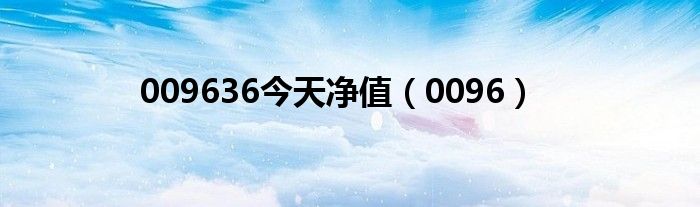 0096(009636今天净值)