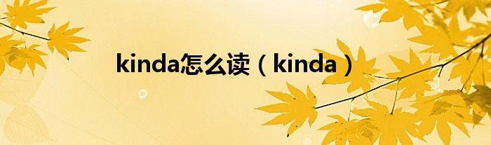 kinda(kinda怎么读)