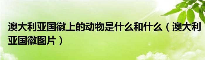 澳大利亚国徽图片(澳大利亚国徽上的动物是什么和什么)
