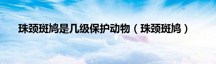 珠颈斑鸠(珠颈斑鸠是几级保护动物)
