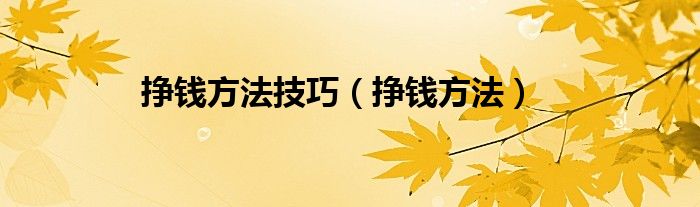 挣钱方法(挣钱方法技巧)