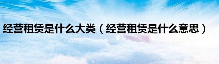 经营租赁是什么意思(经营租赁是什么大类)