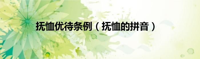 抚恤的拼音(抚恤优待条例)