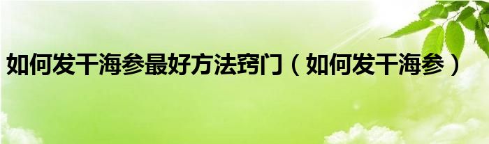 如何发干海参(如何发干海参最好方法窍门)