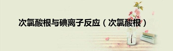 次氯酸根(次氯酸根与碘离子反应)