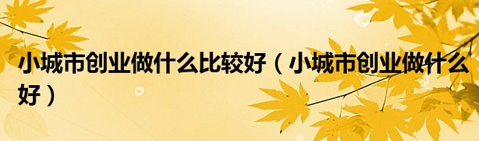 小城市创业做什么好(小城市创业做什么比较好)