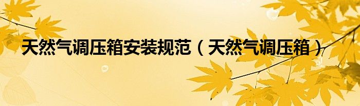 天然气调压箱(天然气调压箱安装规范)