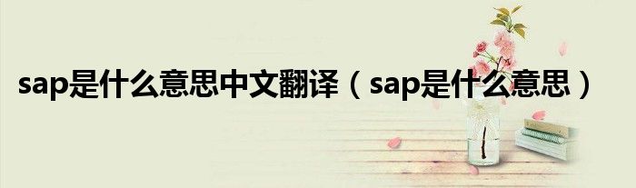 sap是什么意思(sap是什么意思中文翻译)