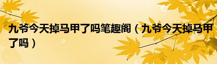 九爷今天掉马甲了吗(九爷今天掉马甲了吗笔趣阁)