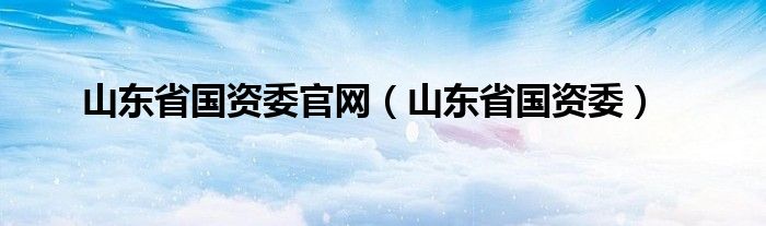 山东省国资委(山东省国资委官网)