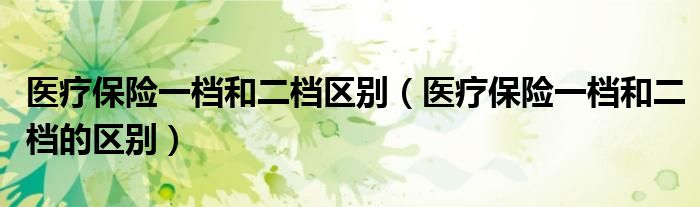 医疗保险一档和二档的区别(医疗保险一档和二档区别)