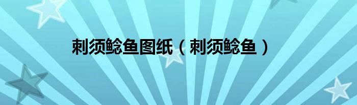 刺须鲶鱼(刺须鲶鱼图纸)