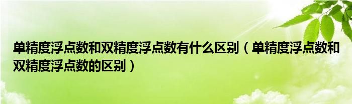 单精度浮点数和双精度浮点数的区别(单精度浮点数和双精度浮点数有什么区别)