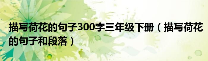 描写荷花的句子和段落(描写荷花的句子300字三年级下册)