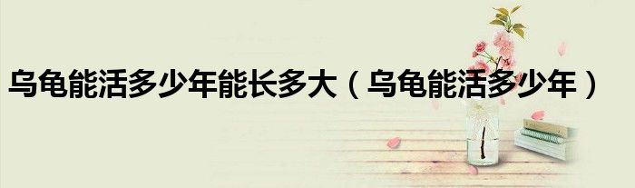 乌龟能活多少年(乌龟能活多少年能长多大)