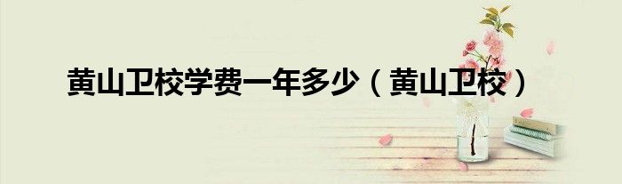 黄山卫校(黄山卫校学费一年多少)