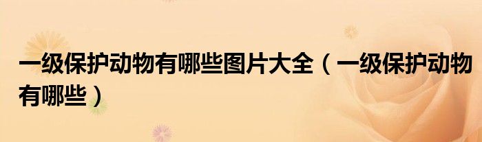 一级保护动物有哪些(一级保护动物有哪些图片大全)