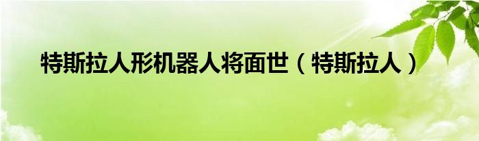 特斯拉人(特斯拉人形机器人将面世)