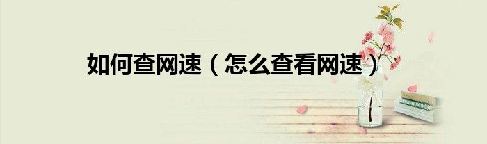 怎么查看网速(如何查网速)
