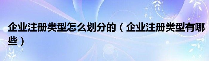 企业注册类型有哪些(企业注册类型怎么划分的)