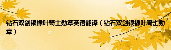 钻石双剑银橡叶骑士勋章(钻石双剑银橡叶骑士勋章英语翻译)