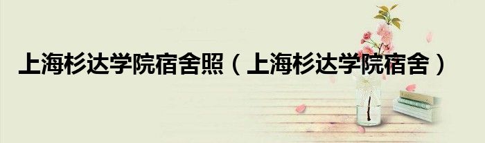 上海杉达学院宿舍(上海杉达学院宿舍照)