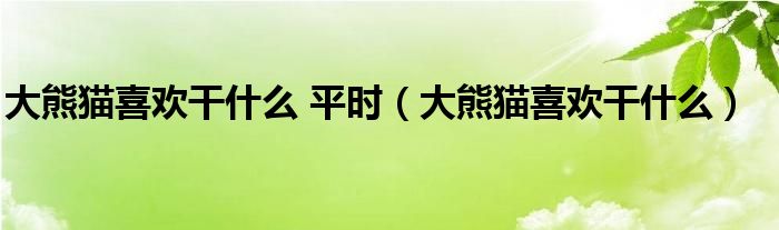 大熊猫喜欢干什么(大熊猫喜欢干什么 平时)