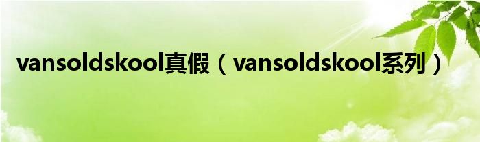 vansoldskool系列(vansoldskool真假)