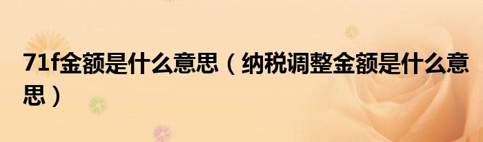 纳税调整金额是什么意思(71f金额是什么意思)