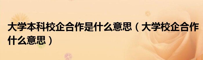 大学校企合作什么意思(大学本科校企合作是什么意思)