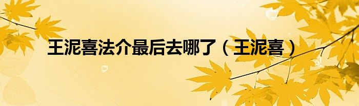 王泥喜(王泥喜法介最后去哪了)