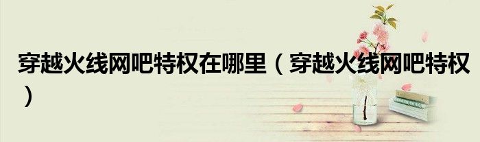 穿越火线网吧特权(穿越火线网吧特权在哪里)