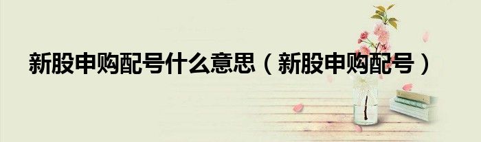 新股申购配号(新股申购配号什么意思)