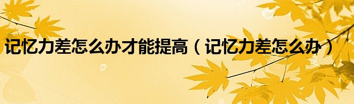 记忆力差怎么办(记忆力差怎么办才能提高)