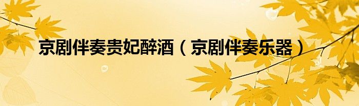 京剧伴奏乐器(京剧伴奏贵妃醉酒)