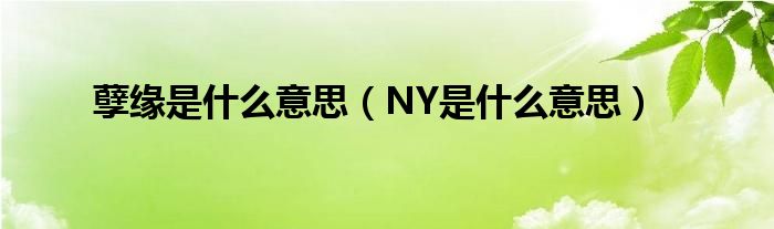 NY是什么意思(孽缘是什么意思)