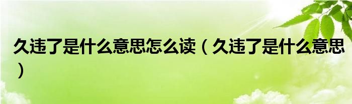 久违了是什么意思(久违了是什么意思怎么读)