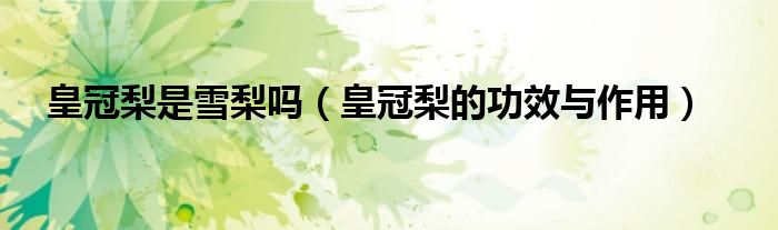 皇冠梨的功效与作用(皇冠梨是雪梨吗)
